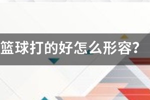 篮球训练刻苦赞美词汇怎么写